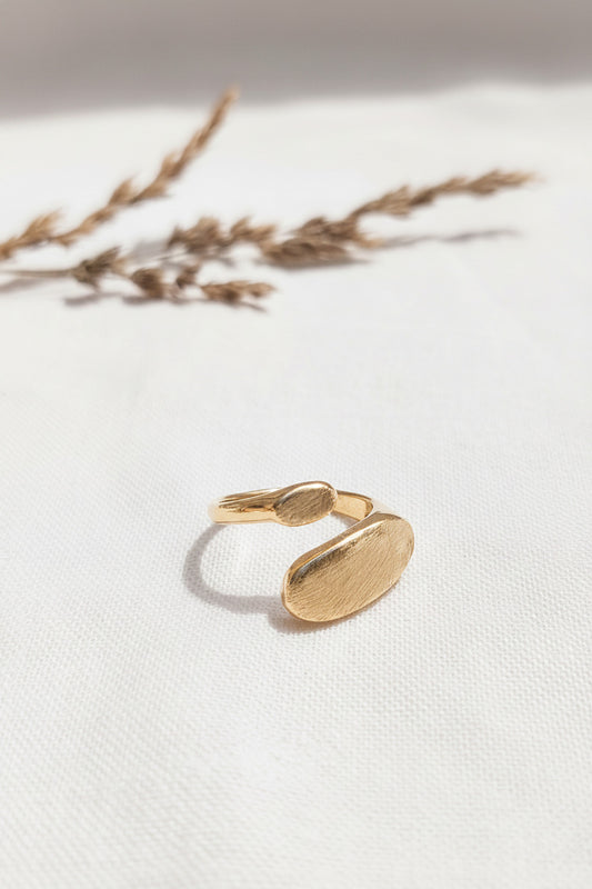 Bague duo brossé